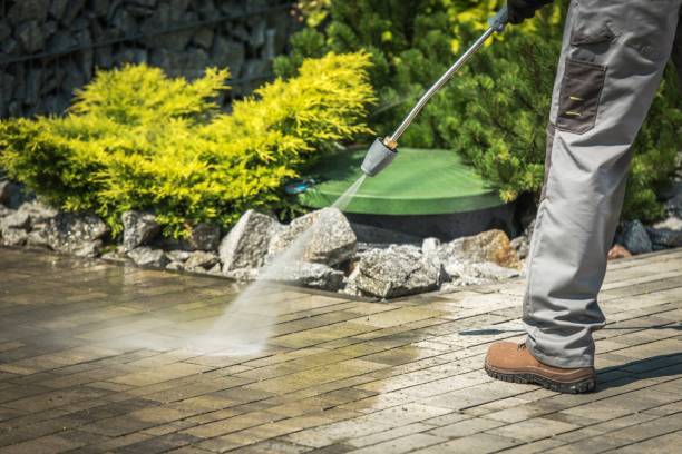 Best Fence Cleaning  in Winter Park, FL