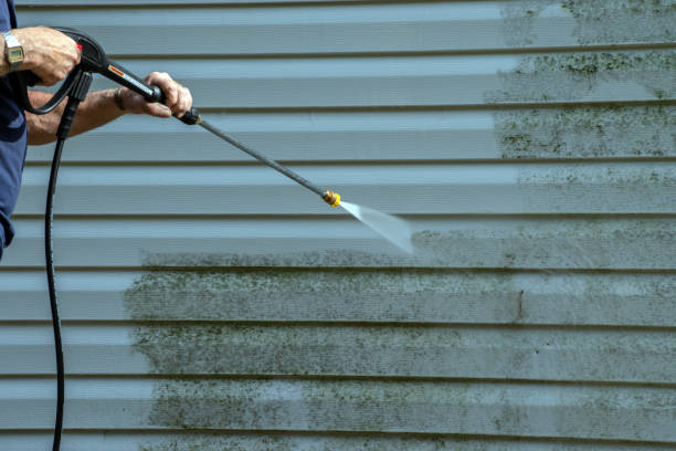 Best Driveway Pressure Washing  in Winter Park, FL